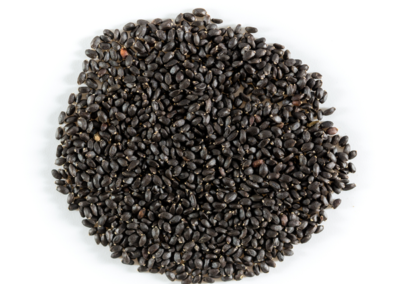 Basil seeds-1